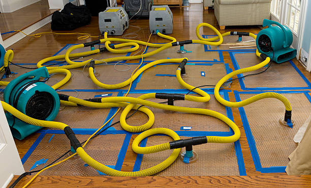 Professional Basement Flood Cleanup technician working in Fort Defiance, AZ